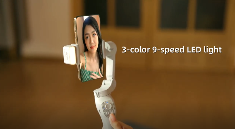 L7C 13.png